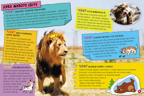 100 odpowiedzi na pytanie DLACZEGO?