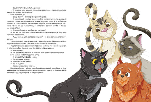 Corsair, or a Fluffy Tale with Claws