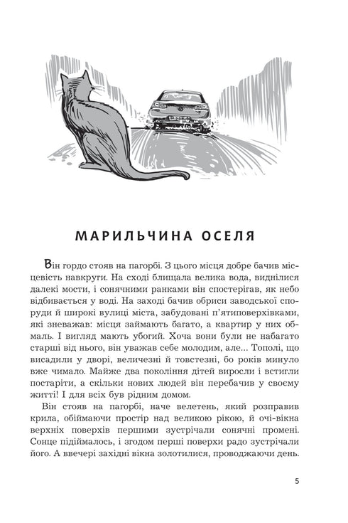 Чи бачать небеса котів