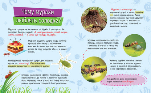 Dlaczego jesteś taki słodki? Owady