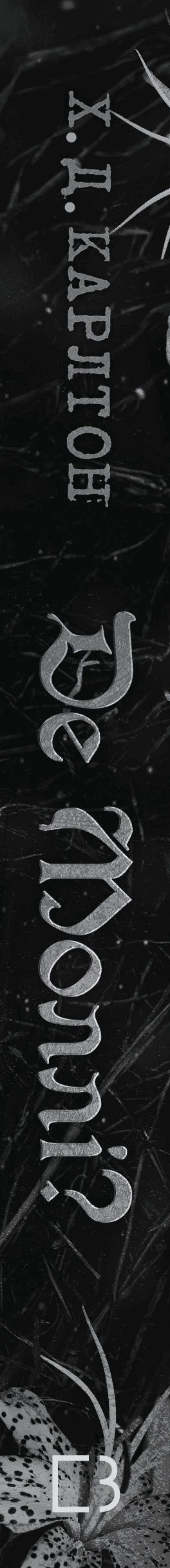 Gdzie jest Molly? - 9786175483695