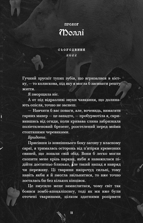 Gdzie jest Molly? - 9786175483695