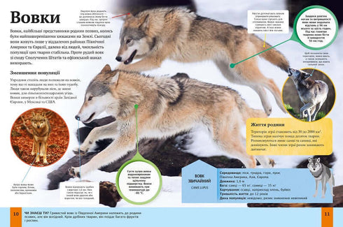 Encyklopedia zwierząt dla dzieci