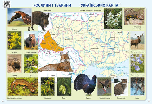 Odkrywam świat. 3 klasa. Atlas - 9786170962454