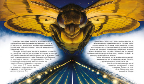 How to Understand Animals. Research and Discoveries