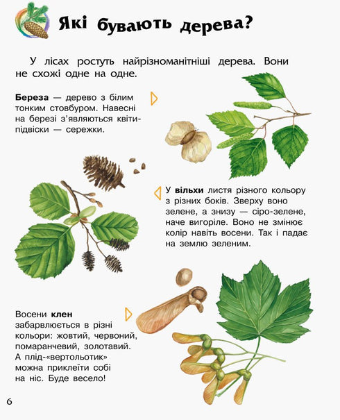Encyklopedia przedszkolaka. Las