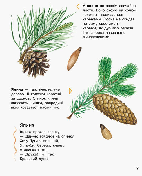 Encyklopedia przedszkolaka. Las