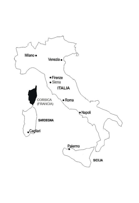 Język włoski w 4 tygodnie. Intensywny kurs języka włoskiego z elektroniczną aplikacją audio