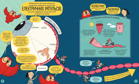 Książka o mózgu i jego działaniu
