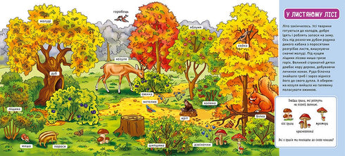 Мій перший словничок. У лісі