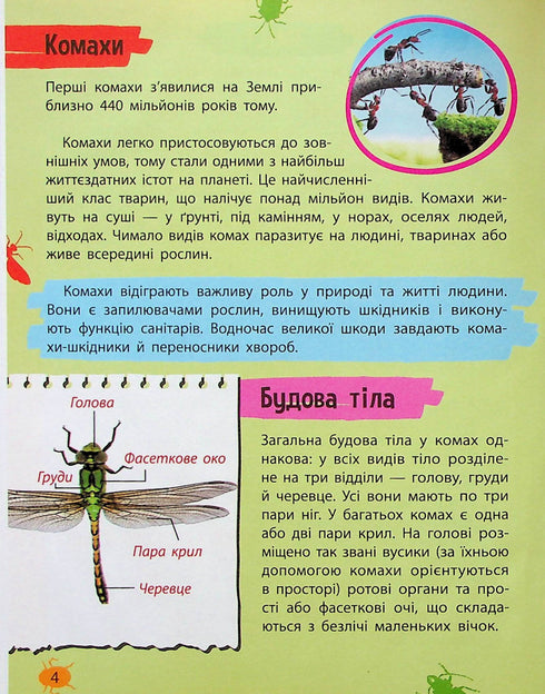 Mini encyclopedia. Insects and spiders