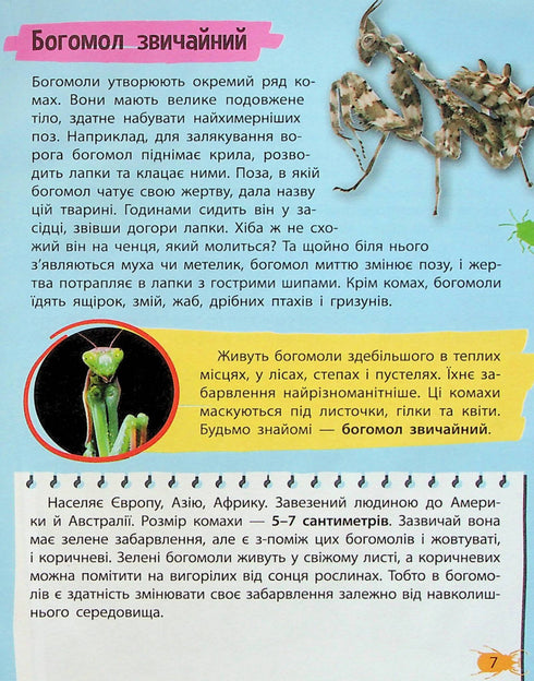 Mini encyclopedia. Insects and spiders