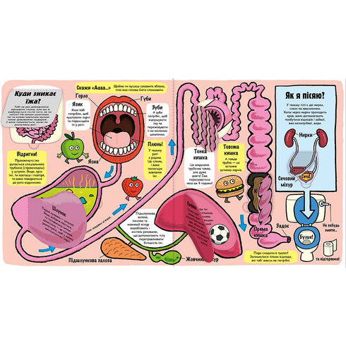 Moje niesamowite ciało. Mali odkrywcy