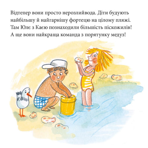 Pixie Book. Adventure on Namakandi