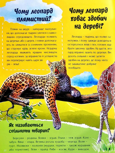 O wszystkim na świecie. Odpowiedzi na pytania