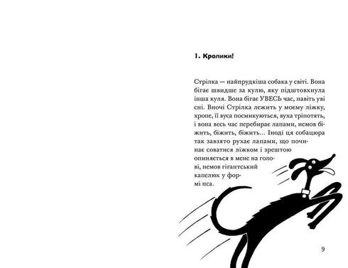 Rakieta na czterech nogach pod osłoną