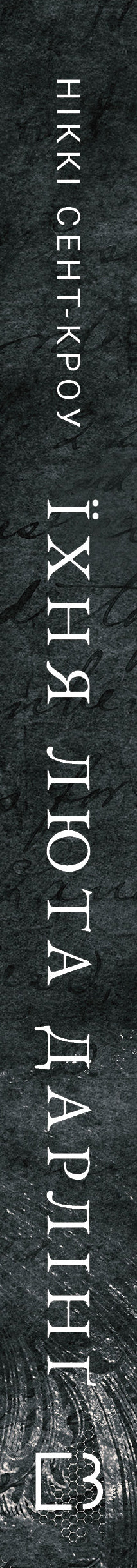 Rozpustni zagubieni chłopcy. Książka 3. Ich dzika Darling - 9786175483725