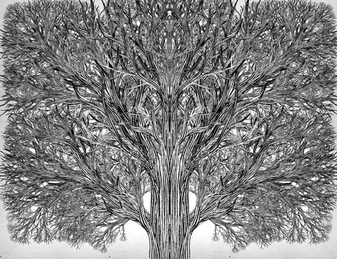 "Szkoła Dobra i Zła. Jedyny Prawdziwy Król. Książka 6"