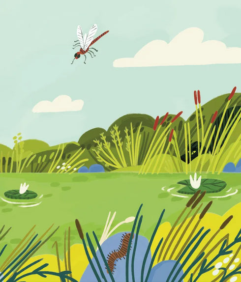 Tyrannosaurus Rex - 9789664483824