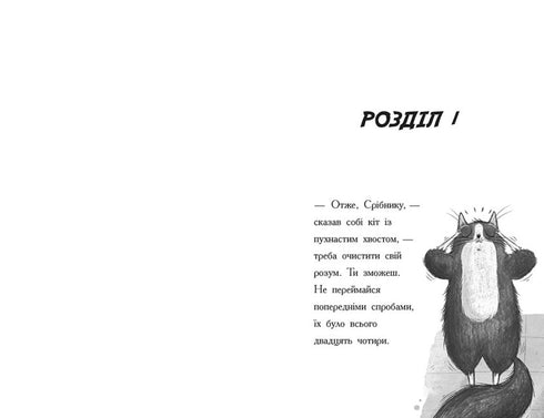 Toto. Kot-ninja i sprawa o kradzież sera. Książka 2