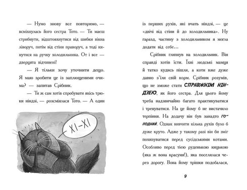 Toto. Kot-ninja i sprawa o kradzież sera. Książka 2