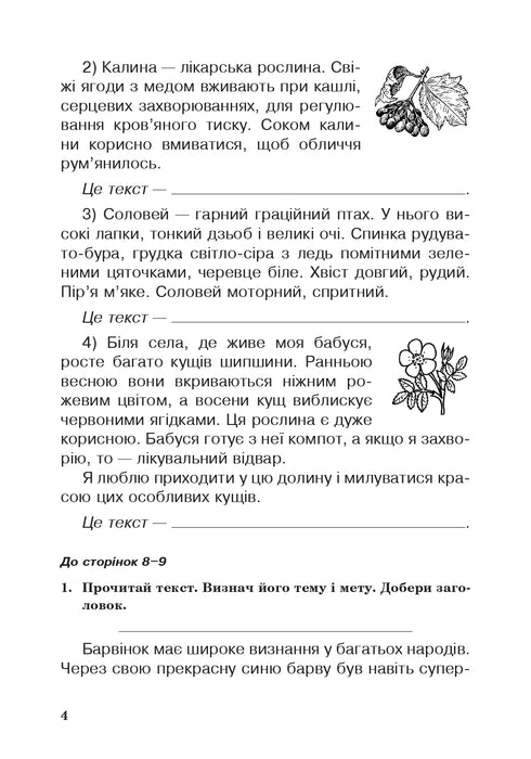 Język ukraiński. Klasa 3. Zeszyt ćwiczeń (do podręcznika Waszulenko, Wasyliwśka, Dubowik) NUSZ