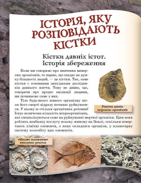 Від мавпи до людини