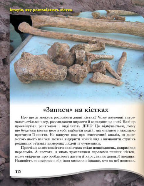 Від мавпи до людини