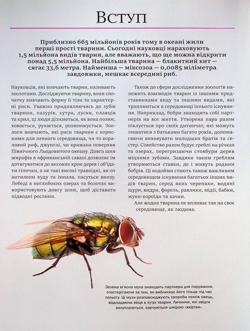 The Big Book of Animals - 9786171704794