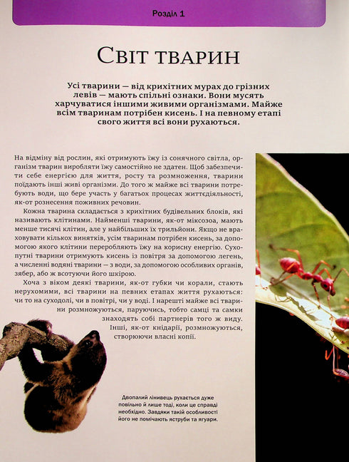 The Big Book of Animals - 9786171704794