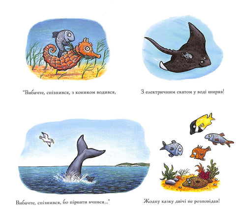 Zięba. Ribun-balakun