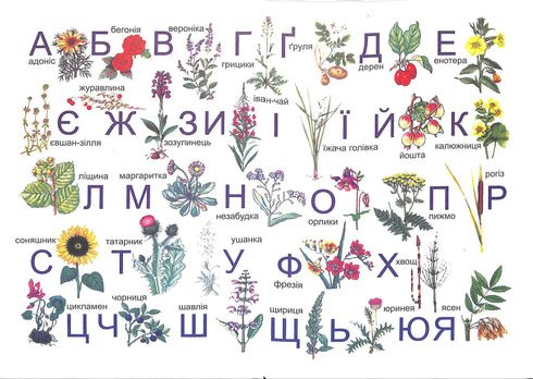 Elementarz. Podręcznik do pierwszej klasy