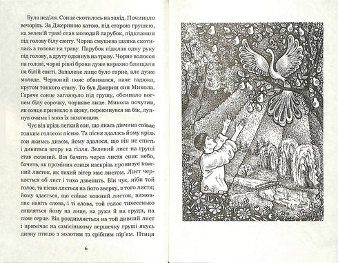 Mykola Dzherya: historia