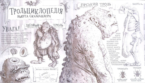 Harry Potter i Kamień Filozoficzny. Duże wydanie ilustrowane. Tom 1