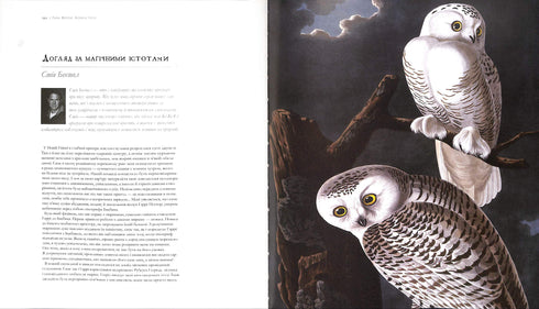 Harry'ego Pottera. Historia magii