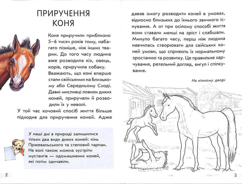 Mini-encyklopedie. Wszystko o koniach (nakład wyczerpany)