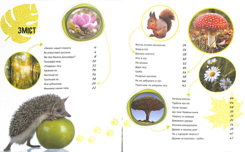 Świat i jego tajemnice : Życie lasu