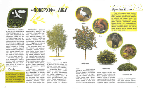 Świat i jego tajemnice : Życie lasu