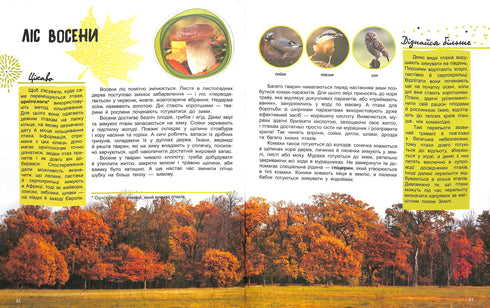 Świat i jego tajemnice : Życie lasu