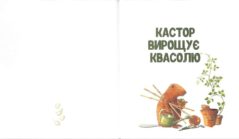 Kastor jest mistrzem w każdym calu: opowiada o instrumentach i uczy, jak z nich korzystać. 7 opowiadań w 1 książce