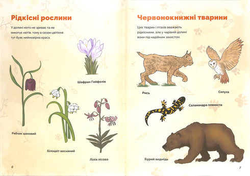 "Świątecznik i tajemnica czarownej doliny"