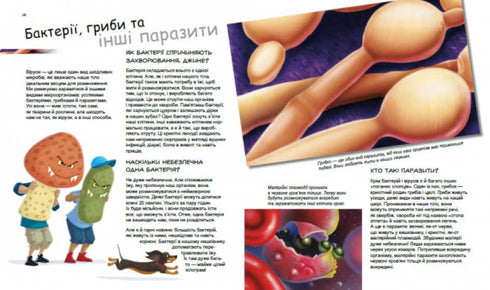 Heroes and villains in our body