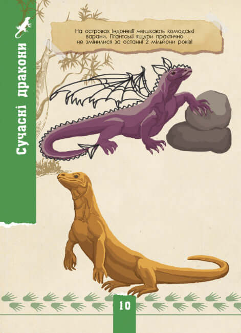 ekoquest. Dzika natura