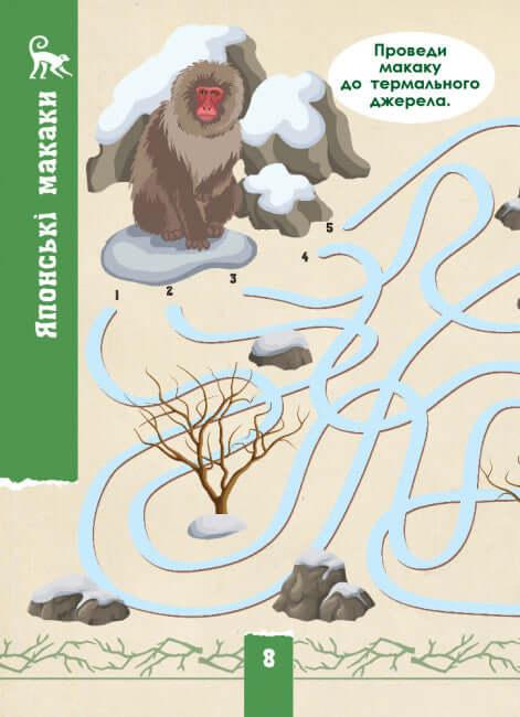 ekoquest. Dzika natura