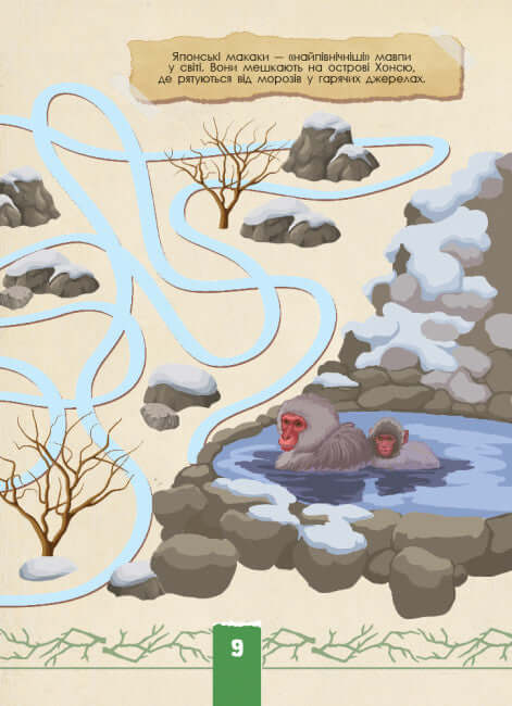 ekoquest. Dzika natura