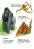 Encyclopedia of Preschoolers. Animals