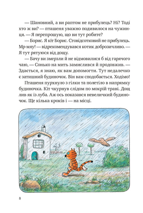 Пригоди кота Бориса (закінчився тираж)