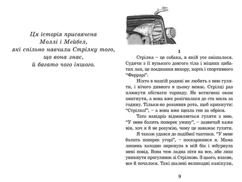 Rakieta na czterech nogach