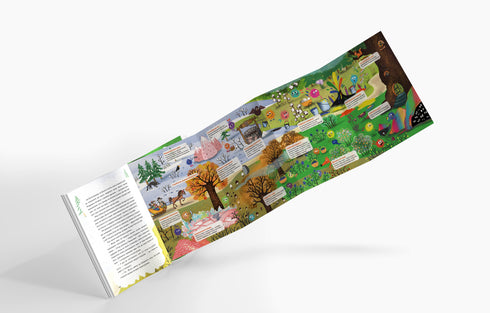 "Świątecznik i tajemnica czarownej doliny"