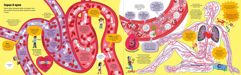 Wielka książka o ciele